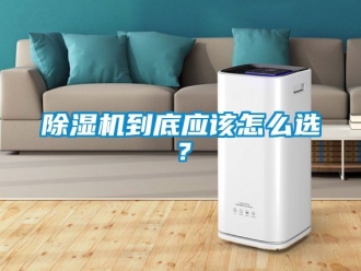 企業新聞除濕機到底應該怎么選？