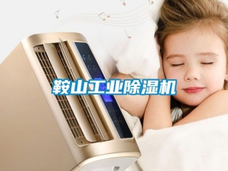 常見問題鞍山工業(yè)除濕機