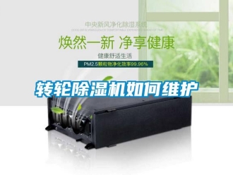 常見問題轉(zhuǎn)輪除濕機(jī)如何維護(hù)