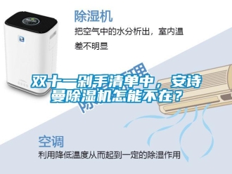 企業(yè)新聞雙十一剁手清單中，安詩曼除濕機怎能不在？