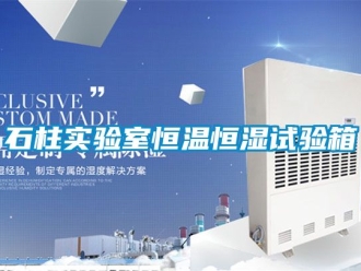 知識百科石柱實(shí)驗(yàn)室恒溫恒濕試驗(yàn)箱
