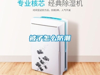 常見問題被子怎么防潮