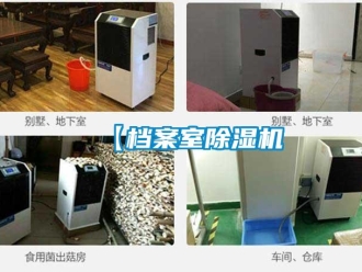 企業新聞【檔案室除濕機