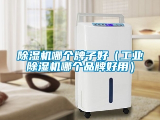 常見問題除濕機(jī)哪個(gè)牌子好（工業(yè)除濕機(jī)哪個(gè)品牌好用）