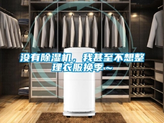 行業新聞沒有除濕機，我甚至不想整理衣服換季～