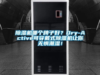 行業(yè)新聞除濕機哪個牌子好？Dry-Active可穿戴式除濕機讓你無懼潮濕！