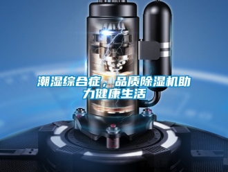 企業新聞潮濕綜合癥，品質除濕機助力健康生活