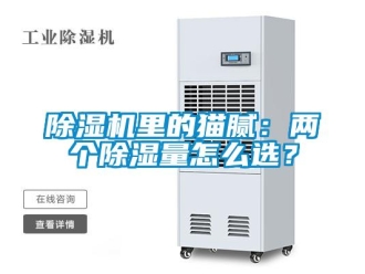 常見問題除濕機里的貓膩：兩個除濕量怎么選？