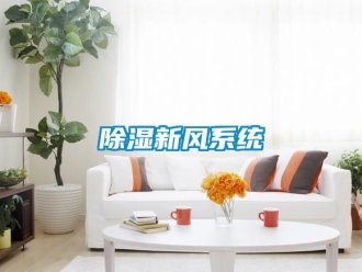 行業新聞除濕新風系統