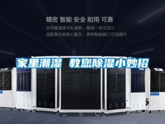 行業新聞家里潮濕 教您除濕小妙招