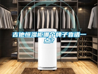 知識(shí)百科吉他恒濕柜哪個(gè)牌子靠譜一點(diǎn)？