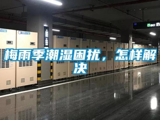常見問題梅雨季潮濕困擾，怎樣解決
