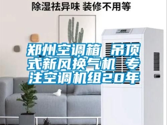 企業(yè)新聞鄭州空調(diào)箱 吊頂式新風(fēng)換氣機(jī) 專注空調(diào)機(jī)組20年