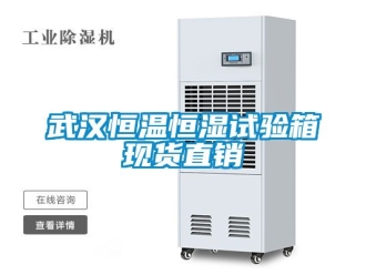 知識百科武漢恒溫恒濕試驗箱現貨直銷