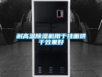 行業新聞耐高溫除濕機用于掛面烘干效果好