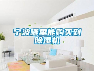 行業(yè)新聞寧波哪里能購買到除濕機