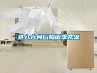 行業(yè)新聞進(jìn)入六月后梅雨季祛濕