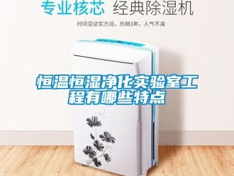 知識百科恒溫恒濕凈化實驗室工程有哪些特點
