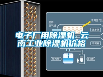 常見問題電子廠用除濕機 云南工業除濕機價格