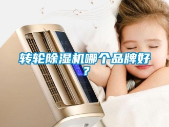 知識百科轉輪除濕機哪個品牌好？