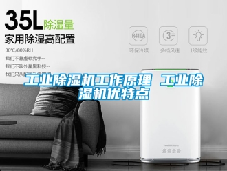 常見(jiàn)問(wèn)題工業(yè)除濕機(jī)工作原理 工業(yè)除濕機(jī)優(yōu)特點(diǎn)