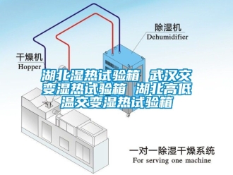 常見問題湖北濕熱試驗(yàn)箱 武漢交變濕熱試驗(yàn)箱 湖北高低溫交變濕熱試驗(yàn)箱