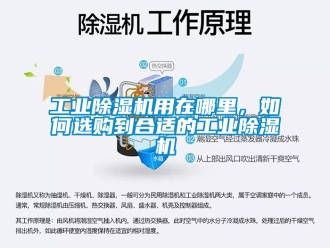 常見問題工業除濕機用在哪里，如何選購到合適的工業除濕機