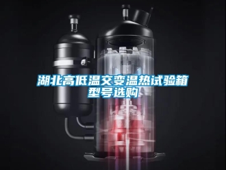 常見問題湖北高低溫交變溫?zé)嵩囼?yàn)箱型號(hào)選購(gòu)