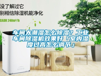 常見問題車間太潮濕怎么除濕？工業車間除濕機效果好「室內濕度過高怎么調節」