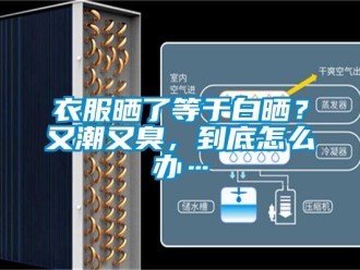 常見問題衣服曬了等于白曬？又潮又臭，到底怎么辦…