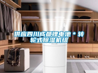 常見問題供應四川成都鋰電池＊轉輪式除濕機組