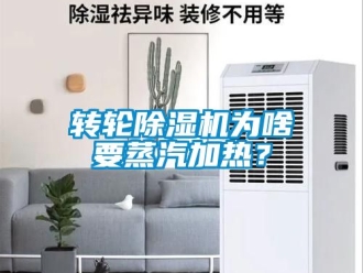 常見問題轉(zhuǎn)輪除濕機為啥要蒸汽加熱？