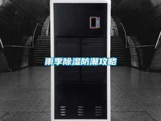 知識百科雨季除濕防潮攻略