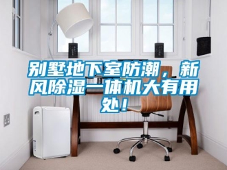 常見問題別墅地下室防潮，新風(fēng)除濕一體機大有用處！