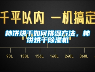 行業新聞柿餅烘干如何排濕方法，柿餅烘干除濕機
