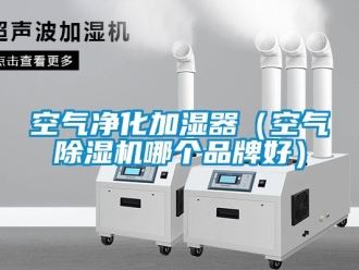 企業新聞空氣凈化加濕器（空氣除濕機哪個品牌好）