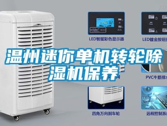 常見問題溫州迷你單機(jī)轉(zhuǎn)輪除濕機(jī)保養(yǎng)