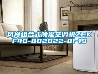 行業新聞風冷組合式除濕空調機ZCKF40-802022-01-19