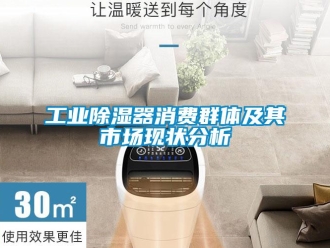 行業(yè)新聞工業(yè)除濕器消費(fèi)群體及其市場(chǎng)現(xiàn)狀分析