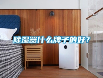 行業(yè)新聞除濕器什么牌子的好？