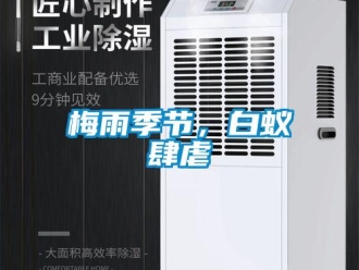 行業(yè)新聞梅雨季節(jié)，白蟻肆虐