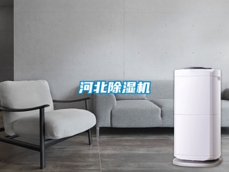 行業新聞河北除濕機