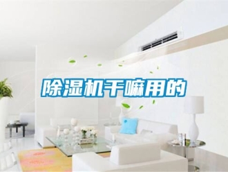 行業新聞除濕機干嘛用的