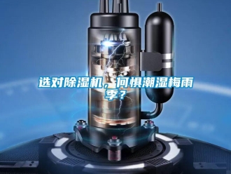 知識百科選對除濕機，何懼潮濕梅雨季？