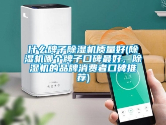 企業新聞什么牌子除濕機質量好(除濕機哪個牌子口碑最好，除濕機的品牌消費者口碑推薦)