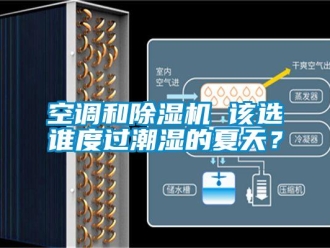行業新聞空調和除濕機 該選誰度過潮濕的夏天？