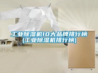 常見問題工業(yè)除濕機10大品牌排行榜(工業(yè)除濕機排行榜)