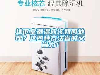 企業新聞地下室潮濕應該如何處理？這四種方法省時又省力！