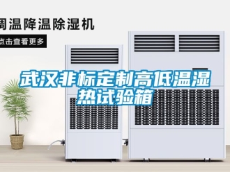 常見問題武漢非標定制高低溫濕熱試驗箱