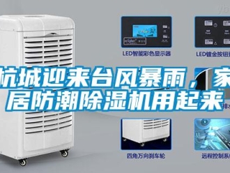 行業(yè)新聞杭城迎來(lái)臺(tái)風(fēng)暴雨，家居防潮除濕機(jī)用起來(lái)